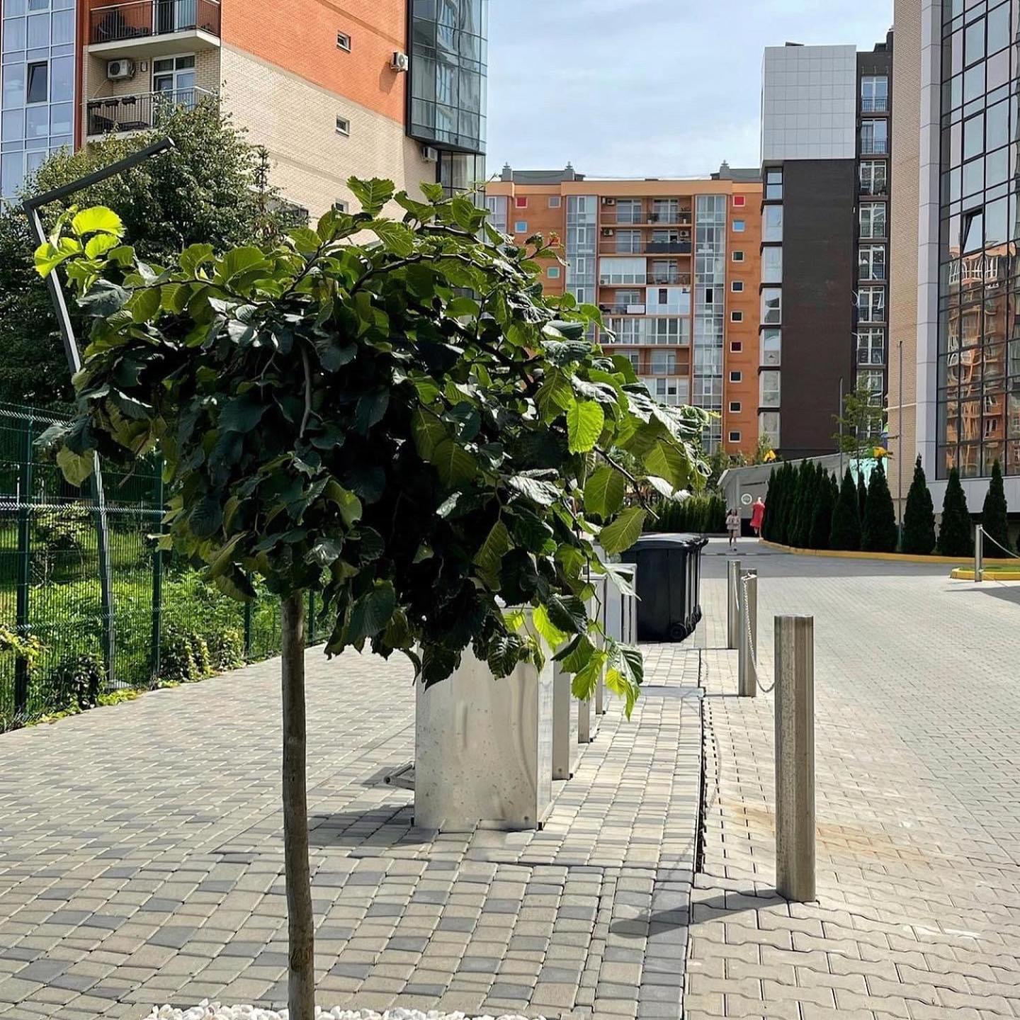 Apartment Vodogray Luxury Apartments: Elite Gated Complex With Underground Parking